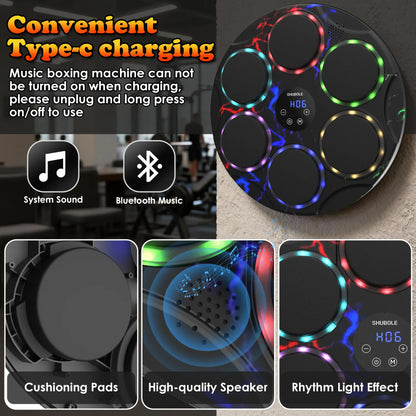 Shubole Music Boxing Machine with Gloves - Wall Mounted Punching Trainer for Adults & Kids, 9-Speed Punch Game, Wall Boxing Punching Pad, 2025 Upgrade Gifts for Boys Age 6+
